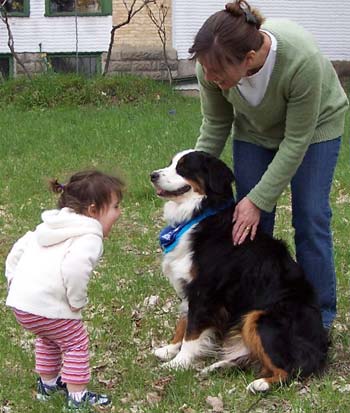 are bernese mountain dogs good with kids